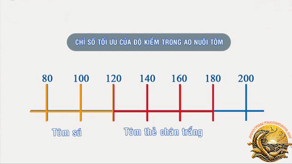 Độ Kiềm Của Nước Ao Tôm