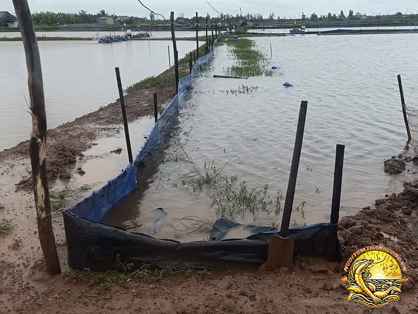 Mưa To Tràn Bờ