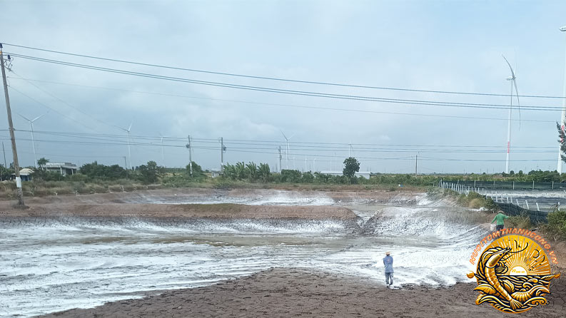 Tác Dụng Của Vôi Nóng Trong Ao Nuôi Tôm