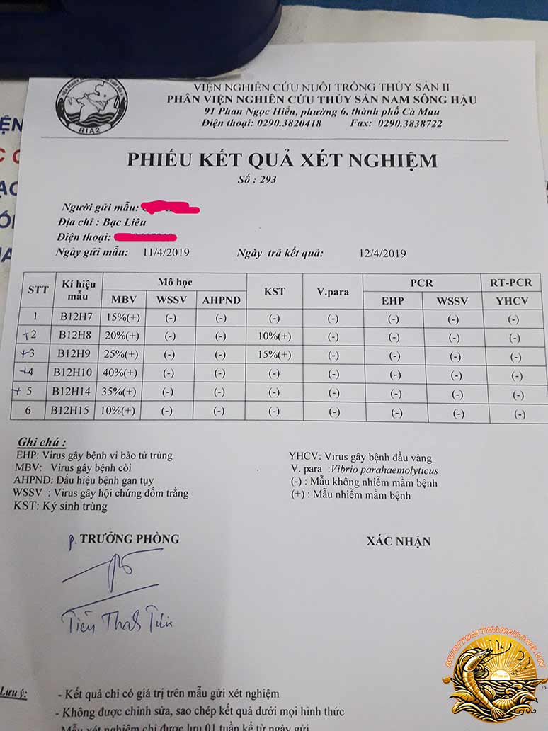 xét nghiệm pcr