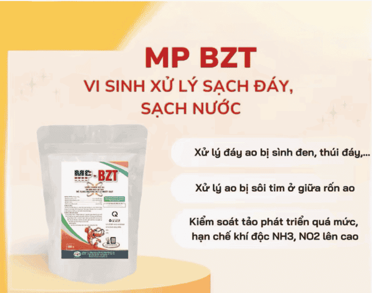 Vi sinh MP-BZT